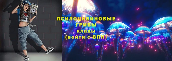 Альфа ПВП Заволжск