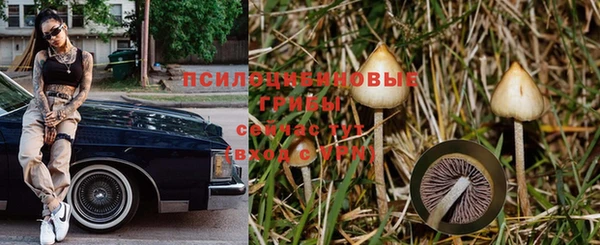 бошки Заволжье