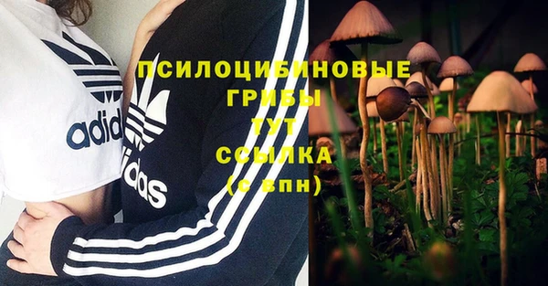 Альфа ПВП Заволжск