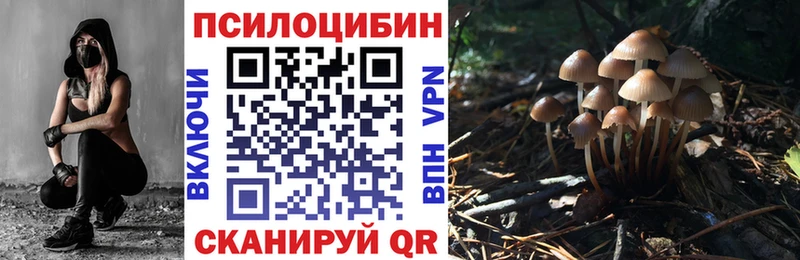 Купить где  Нелидово  Галлюциногенные грибы прущие грибы 